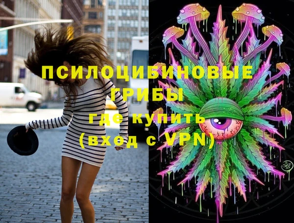 PSILOCYBIN Баксан