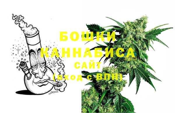 PSILOCYBIN Баксан