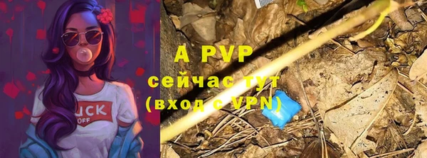 PSILOCYBIN Баксан